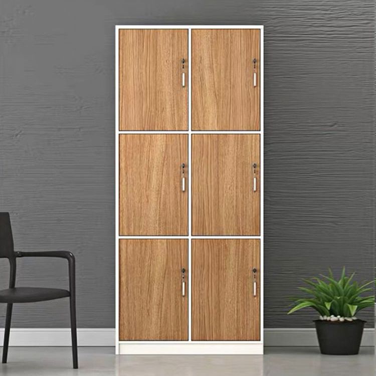 Contemporary Brown Storage Cabinet Manufactured Wood Hinged Door Cabinet