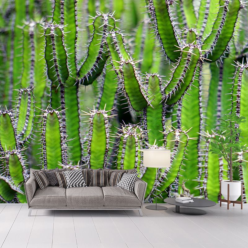 Full Size Prickly Cactus Removable Wall Mural for Reading Room, Customized Size Available