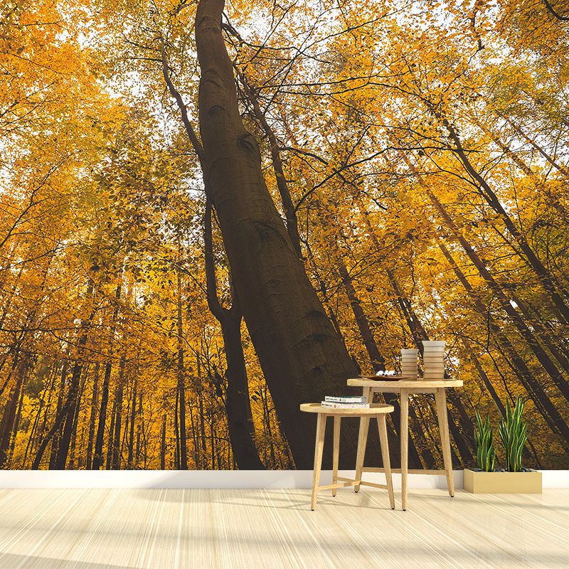 Modern Style Forest Wall Mural Wallpaper Photography Mildew Resistant for Wall Decor