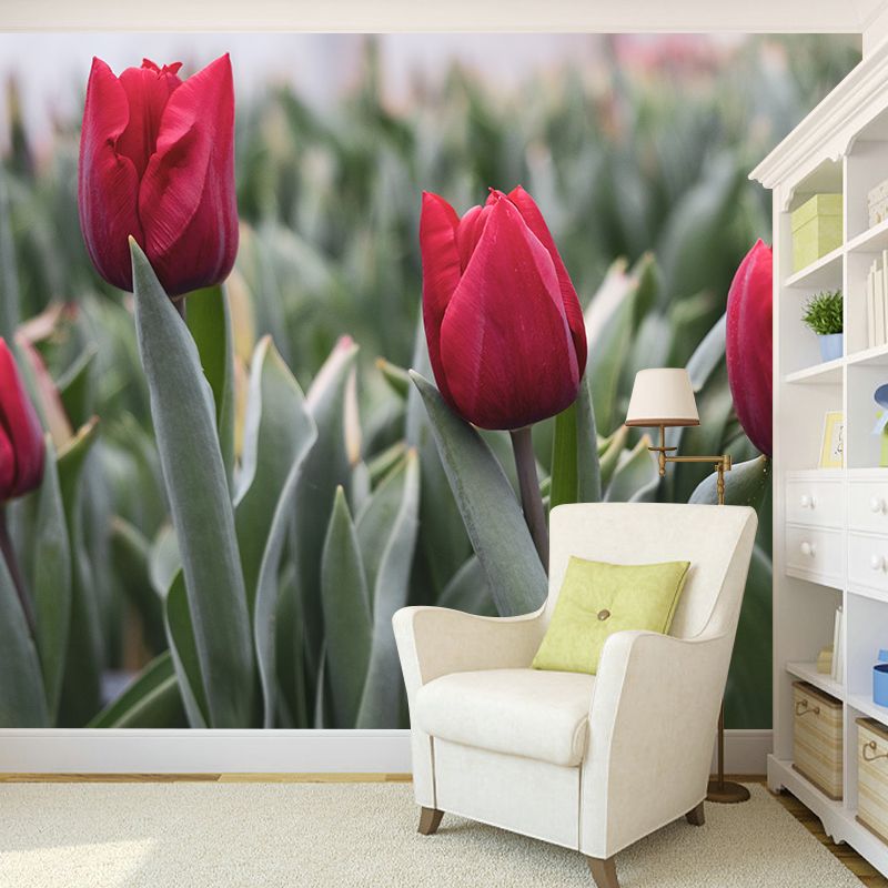 Tulip Wall Mural for Sleeping Room Gust Room, Water Resistant, Custom Size Available
