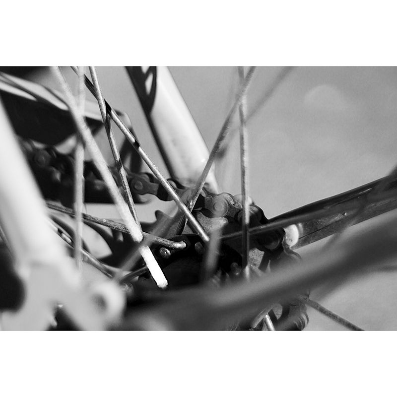 Customized Horizontal Photography Metal Mural Eco-friendly for Wall Decor