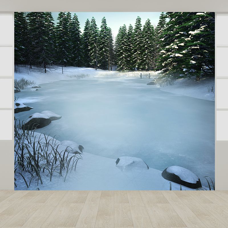 Home Decor Frozen River Mural Decal Customized Contemporary Wall Art for Kitchen