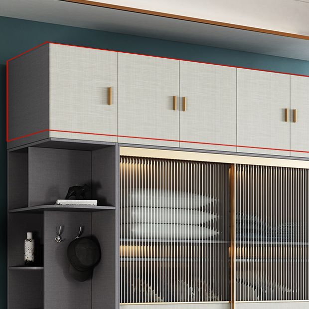 Modern Wardrobe for Home Mirrored Finish Cabinet with Glass Door