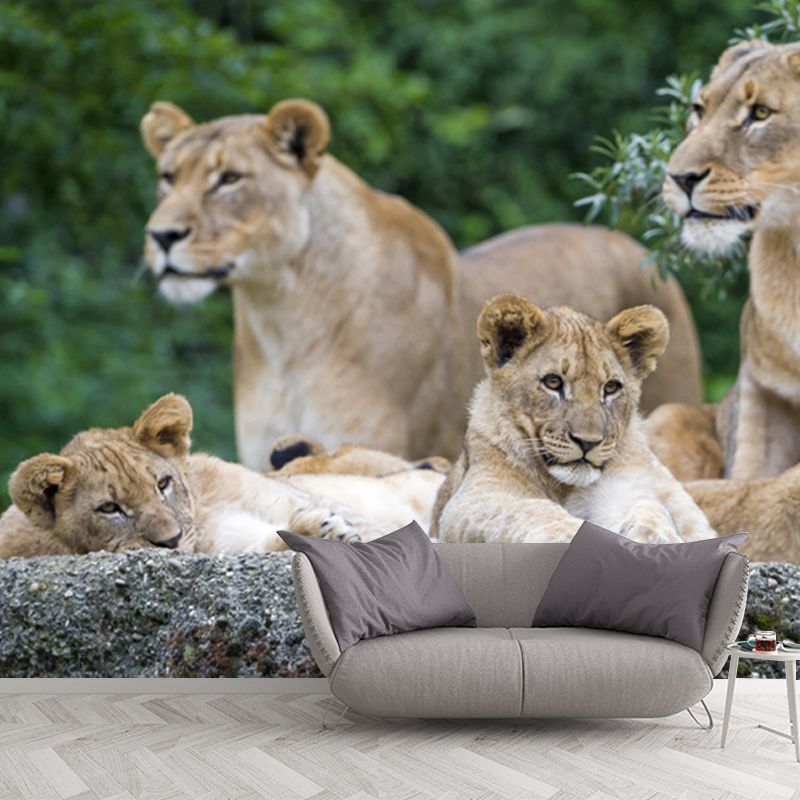 Contemporary Lion Family Wallpaper Mural for Bedroom Custom Wall Decoration in Brown