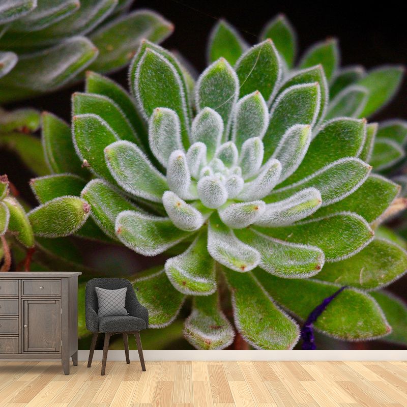 Indoor Decoration Plants Wall Mural for Living Room Bedroom, Made to Measure