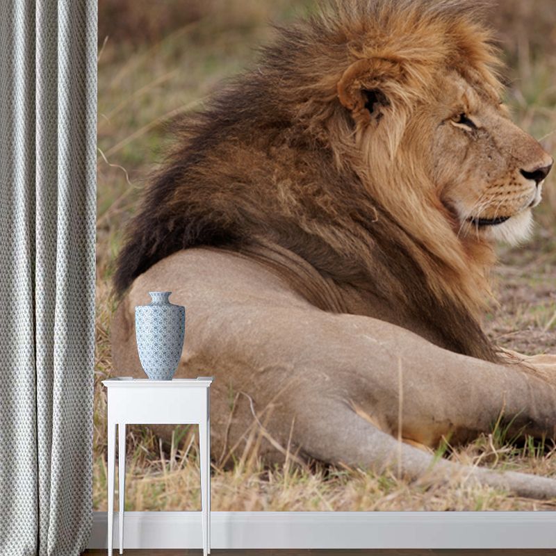 Lion Lies in Savanna Mural Brown Modern Wall Art for Bedroom, Customized Size Available