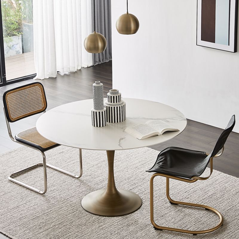 Contemporary Round Dining Table Sintered Stone Table with Brass Tulip Base