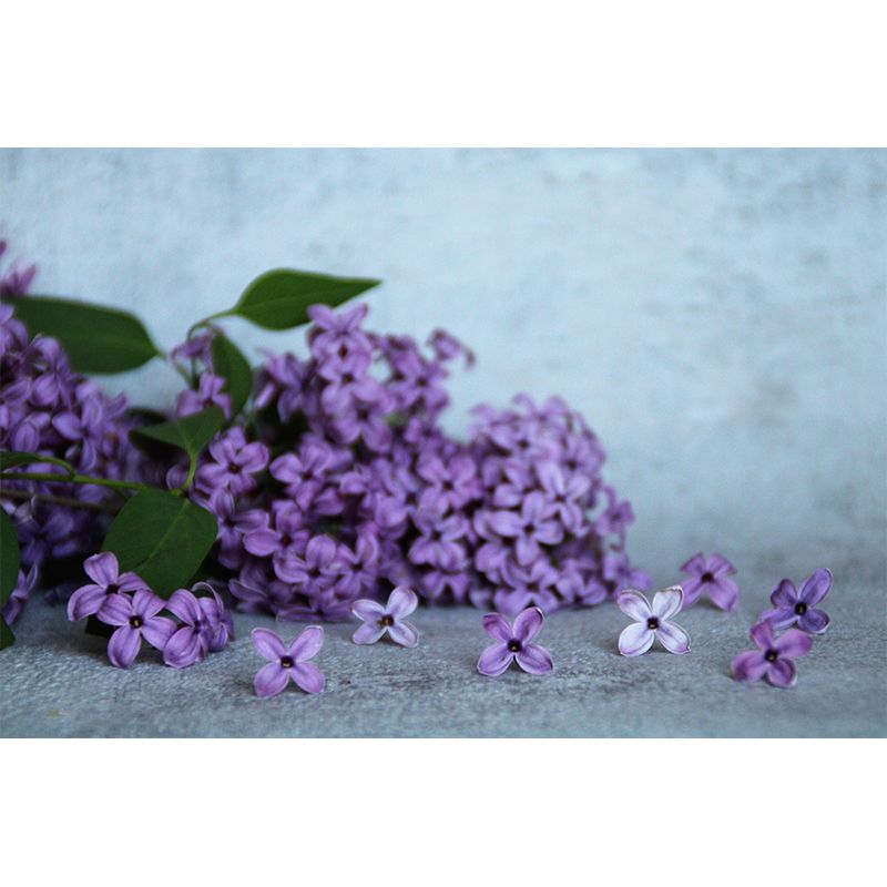 Customized Lilac Mural Wall Covering Eco-friendly Wallpaper for Bedroom