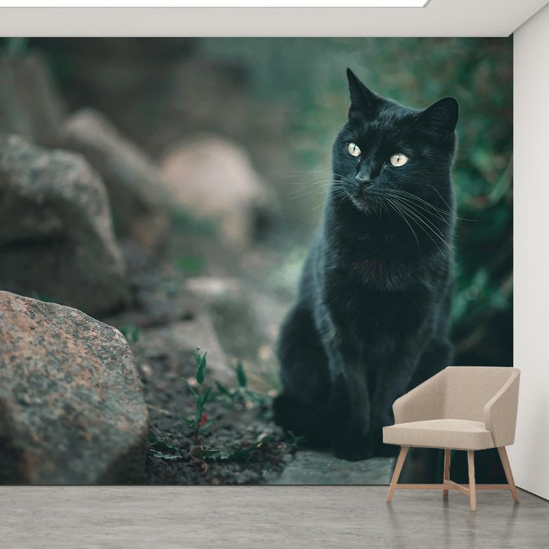 Lovely Cat Wall Mural Wallpaper Mildew Resistant Wall Covering for Decoration