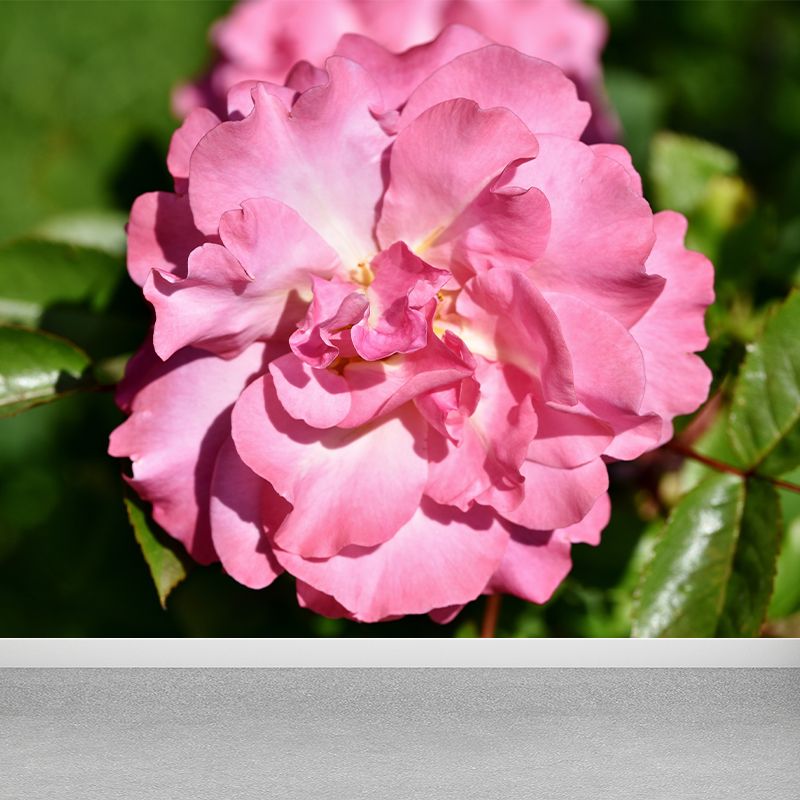 Beautiful Flower Mural Wallpaper Gust Room Decorative Wall Art, Personalized Size Available