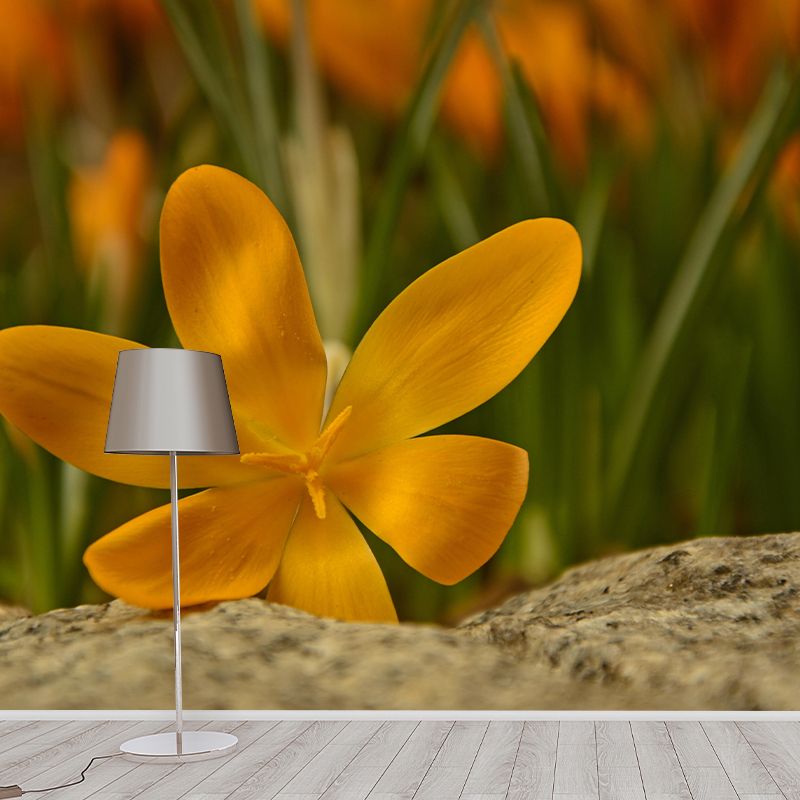 Blooming Saffron Mural Wallpaper Environmental Contemporary for Bedroom