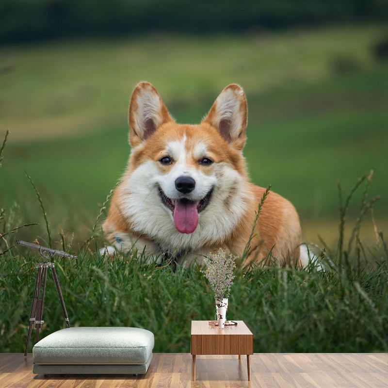 Lovely Corgi Mural Wall Decor Living Room Wall Covering for Decoration