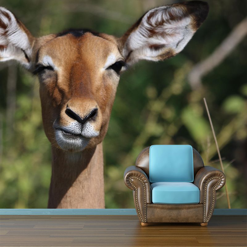 Leopard Contemporary Wild Animal Mural Mildew Resistant Wallpaper for Home Decor