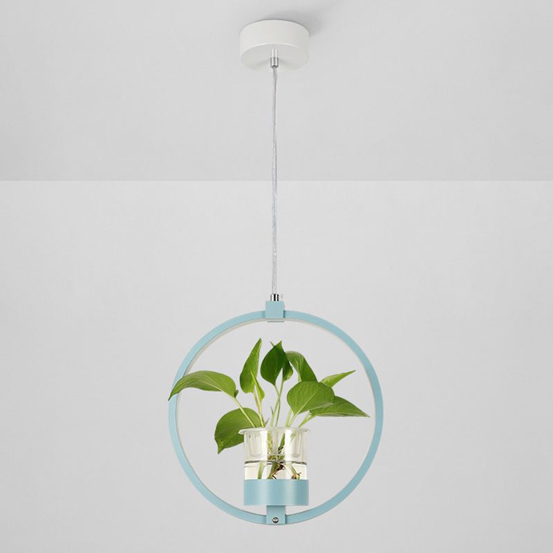 Modern Metal Hanging Lamp 1 Light Pendant Light for Dining Table  (without plants)