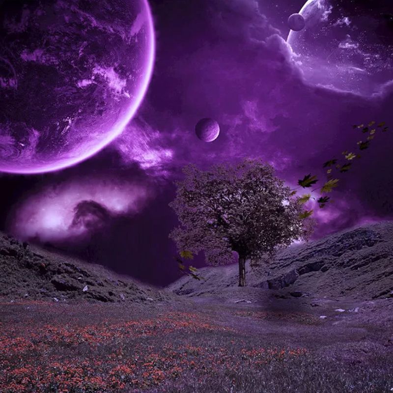 Planet and Desert Mural Wallpaper Contemporary Wall Covering in Purple, Custom Size Available
