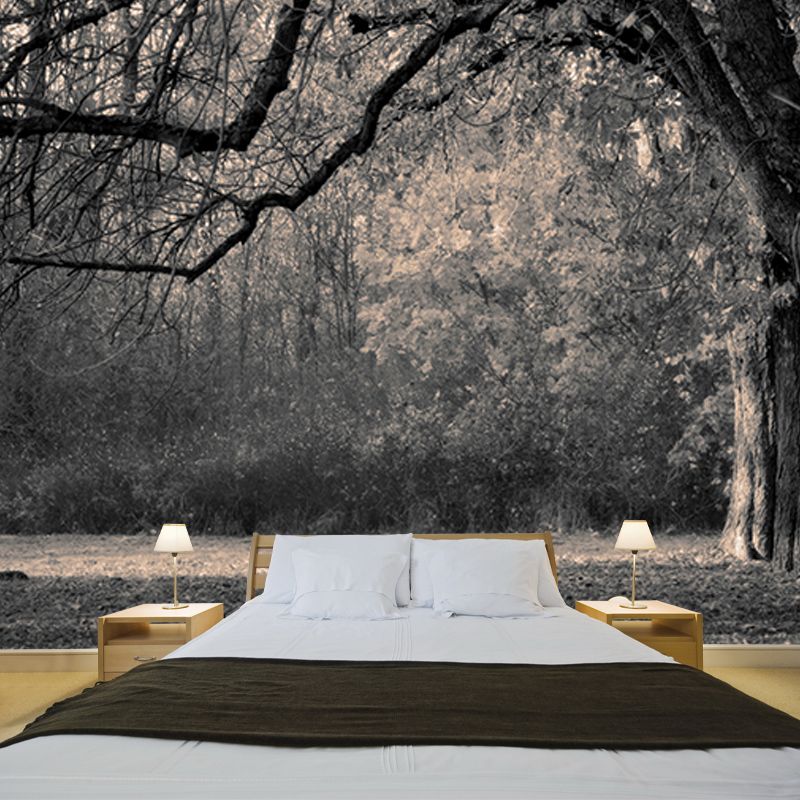 Photography Wall Mural Wallpaper Forest Scenery Sitting Room Wall Mural