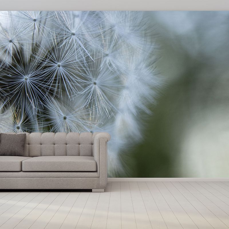 Seed Dandelion Full Size Wall Covering for Reading Room, Customized Size Available
