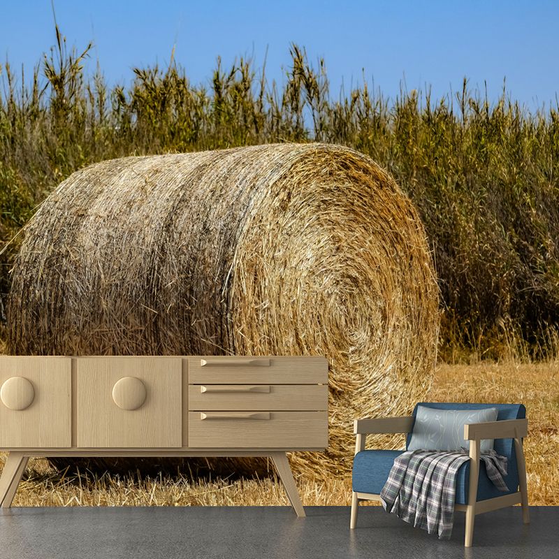 Light Color Straw Bale Mural Decal Wall Covering Mildew Resistant for Dining Room