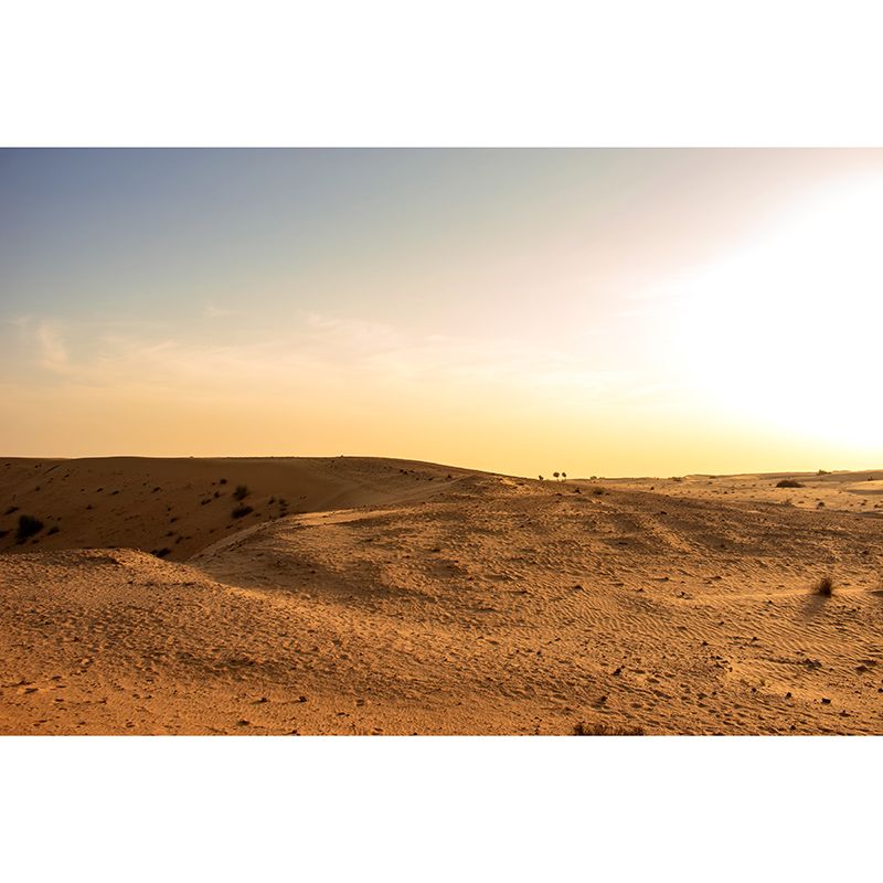 Decorative Wall Mural Wallpaper Desert Landscape Sitting Room Wall Mural