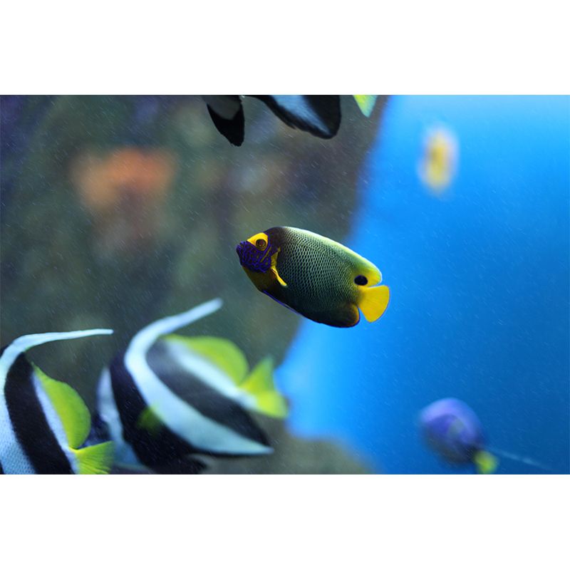 Tropical Beach Seabed Mural Wallpaper Mildew Resistant for Bedroom