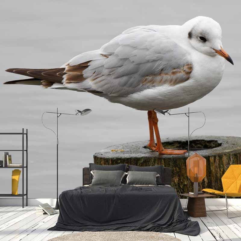 Horizontal Photography Seagull Wall Mural Decorative Mildew Resistant for Living Room