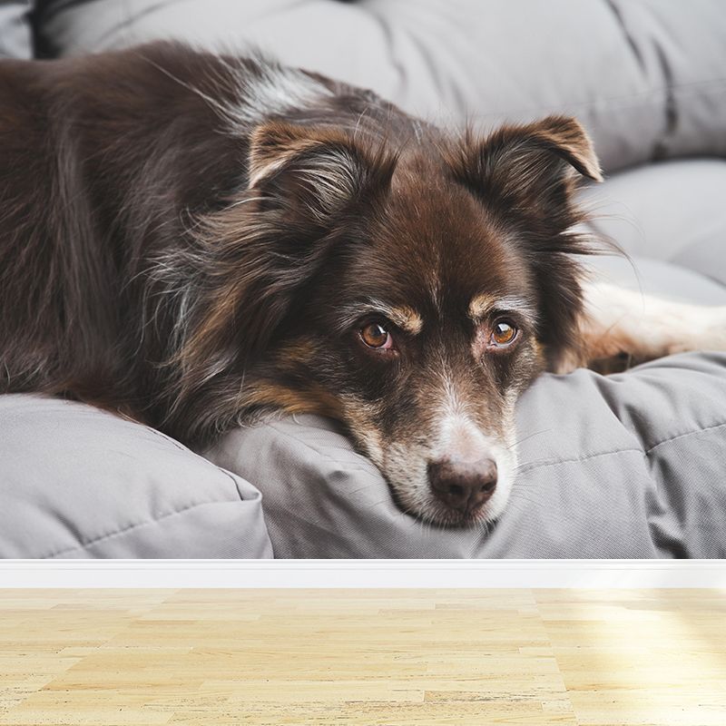 Custom Photo Print Modern Murals Horizontal Wallpaper with Animal Pattern for Home Decor