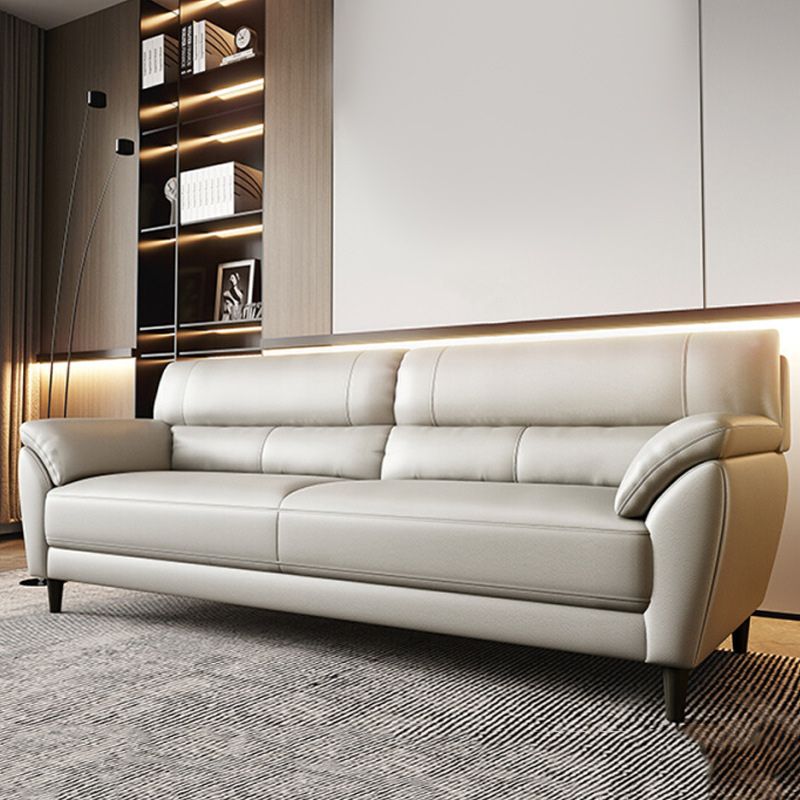 Sewn Pillow Back Pillow Top Arm Ultra-Modern Sofa with Stain Resistant