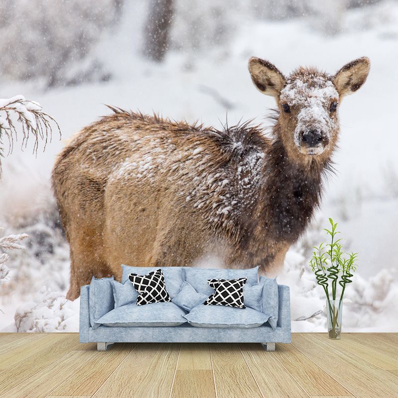 Elk Animal Wallpaper Mural Contemporary Style Wall Art for Living Room