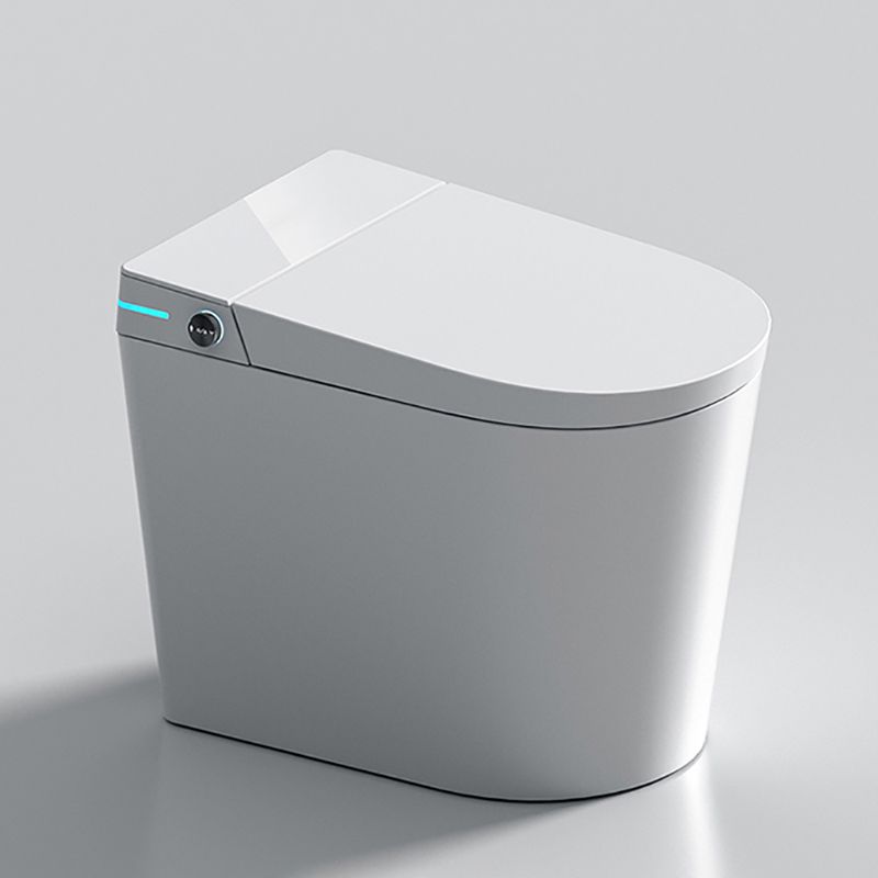 Contemporary White Floor Standing Bidet with Water Pressure Control