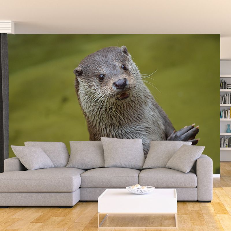 Lovely Otter Mural Wallpaper Photography Horizontal Wall Decor for Home