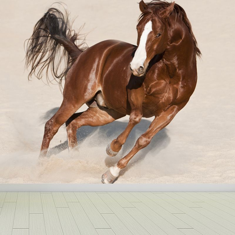 Photography Steed Wall Mural Decal Giant Wall Decor for Living Room, Made to Measure