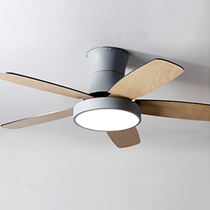 Kids Style Round Shape Ceiling Fan Lamp Metal 1-Light LED Ceiling Fan Light