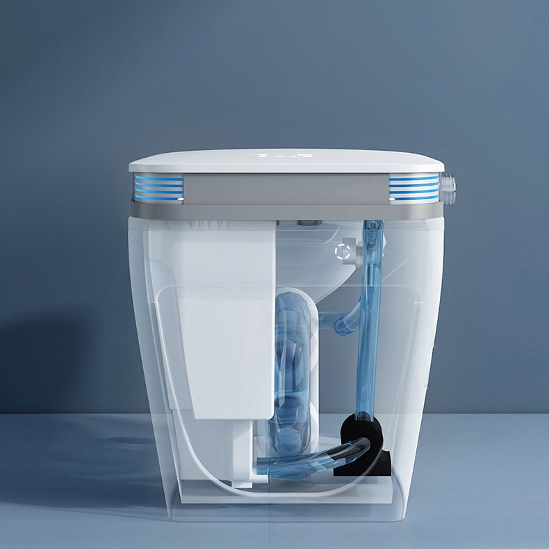 Modern Floor Mounted Urine Toilet White Siphon Jet Toilet Bowl with Toilet Seat