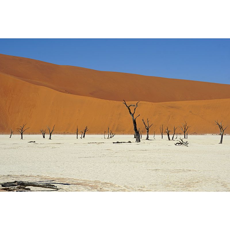 Desert Wall Mural Modernism Wall Decor for Living Room, Moisture Resistant