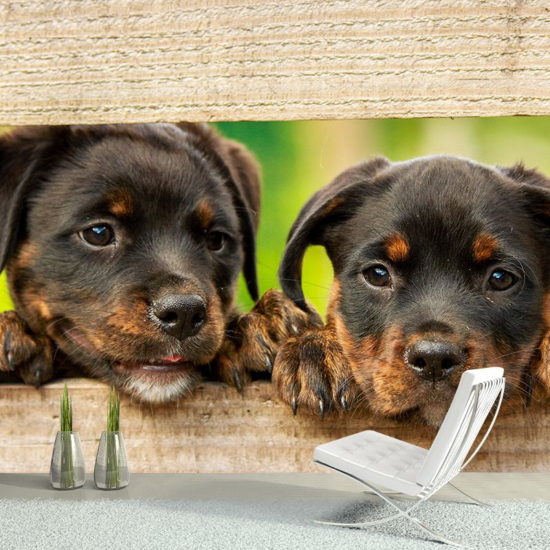 Horizontal Photography Rottweiler Mural Stain Resistant Wall Art for Living Room