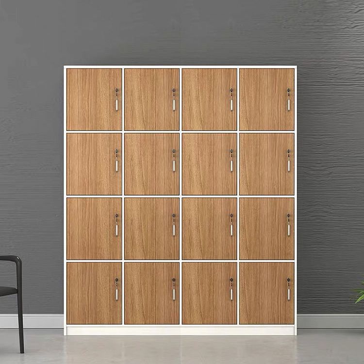Contemporary Brown Storage Cabinet Manufactured Wood Hinged Door Cabinet