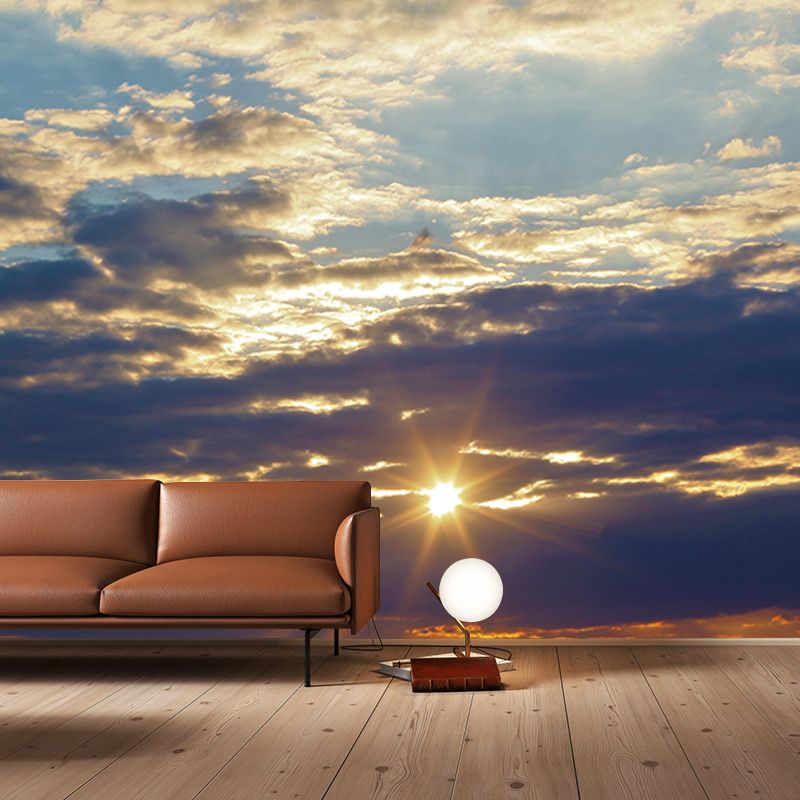 Sitting Room Wall Mural Mildew Resistant Sky Mural Photography