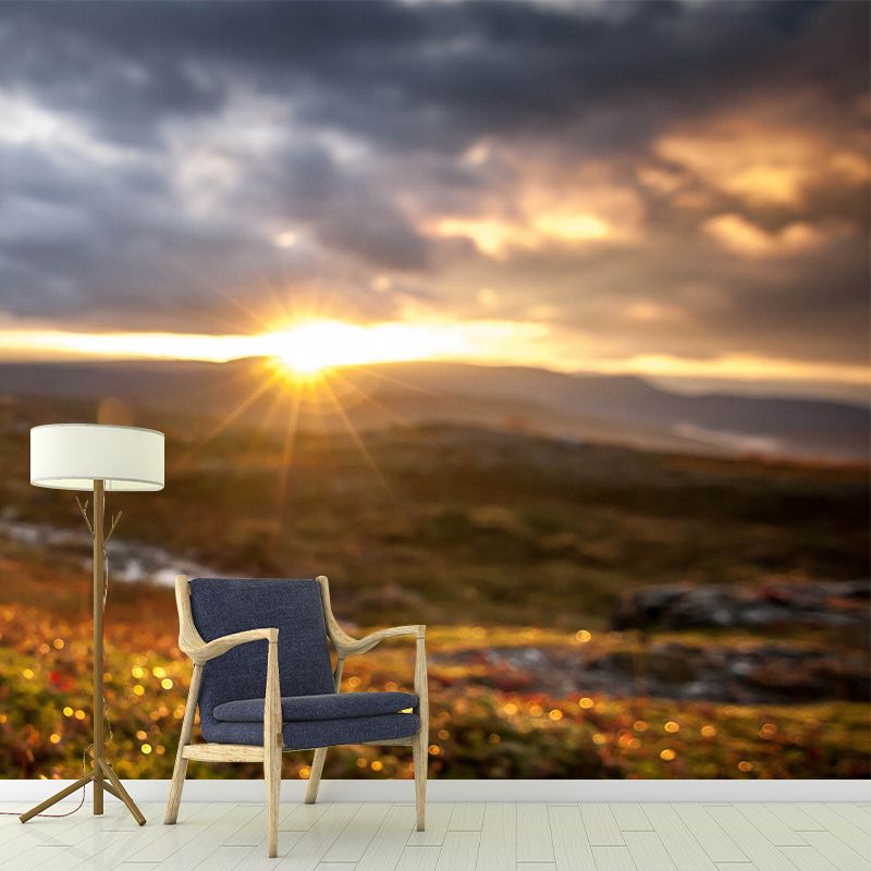 Custom Size Photography Modern Mural with Brown First Ray of Sunshine in Wilds Wall Art, Custom Print