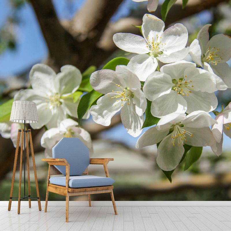 Customized Blooming Begonia Mural Wallpaper Contemporary for Guest Room Decor