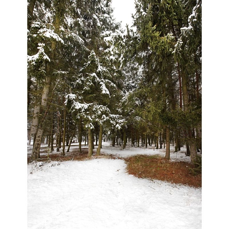 Green Winter Scenery Wall Mural Entrance to Snow Forest Modern Waterproof Wall Art for Home
