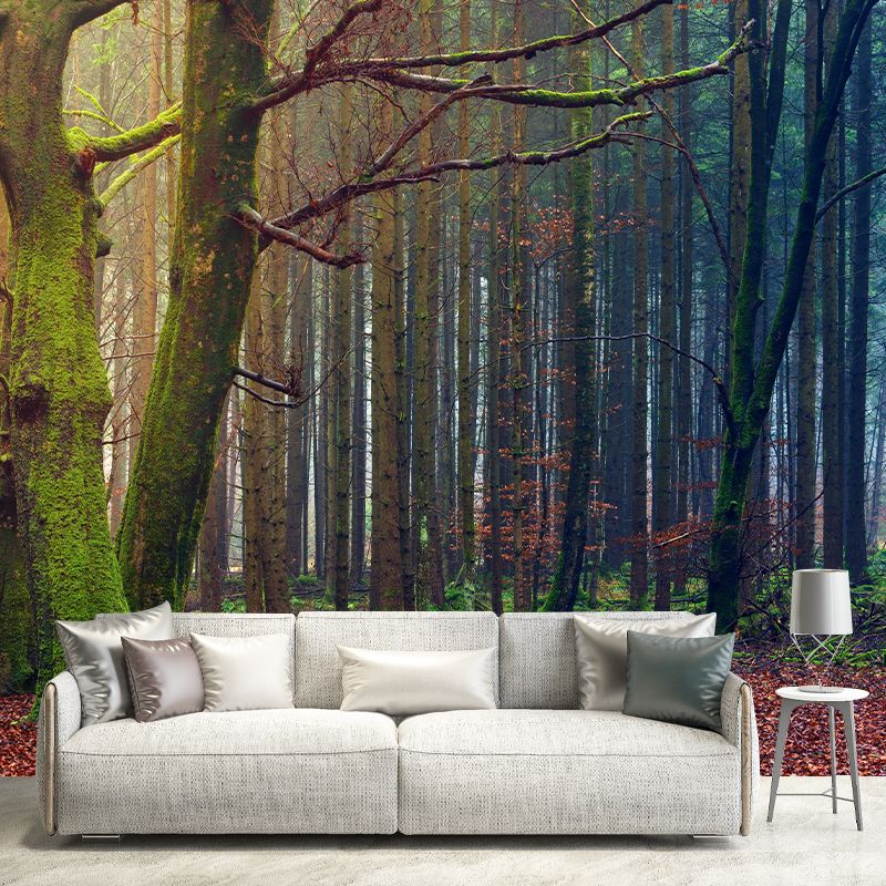 Photography Forest Environment Friendly Wall Mural Drawing Room Wallpaper