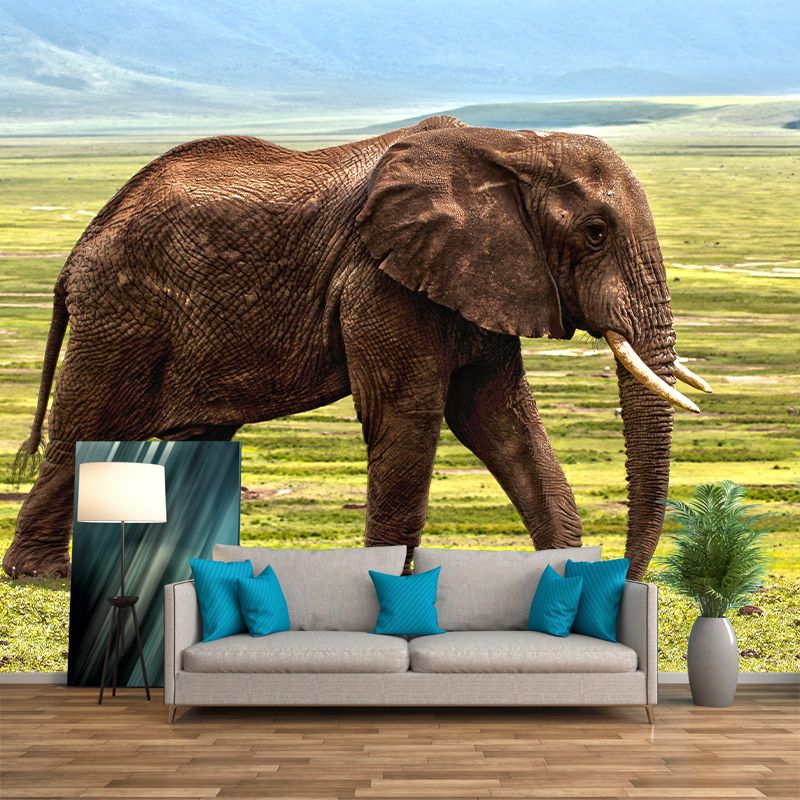 Customized Elephant Wall Mural Contemporary Photography for Bedroom Living Room