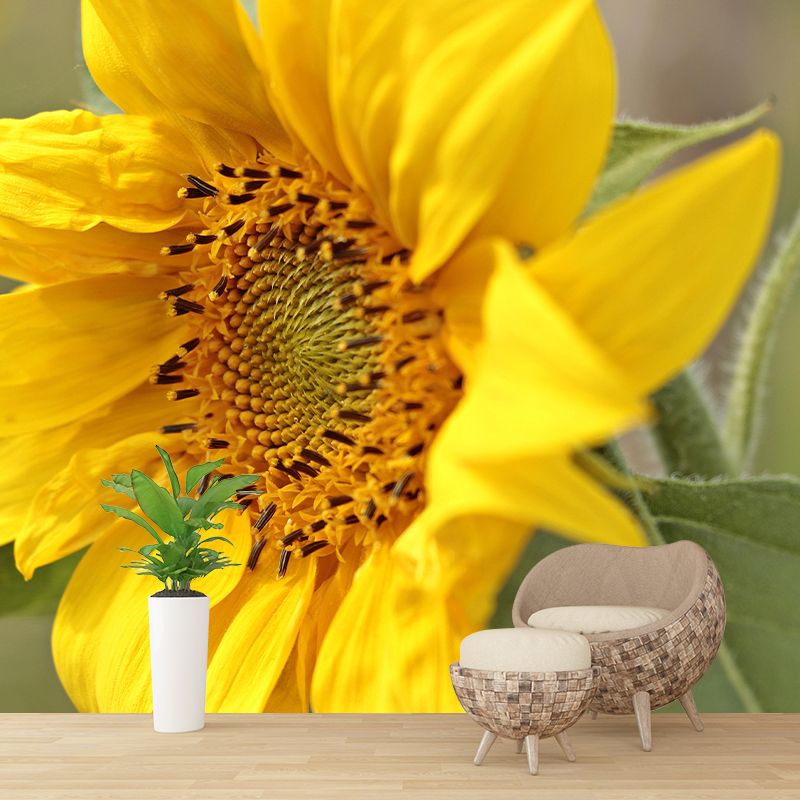Customized Contemporary Sunflower Mural Mildew Resistant for Sitting Room Bedroom