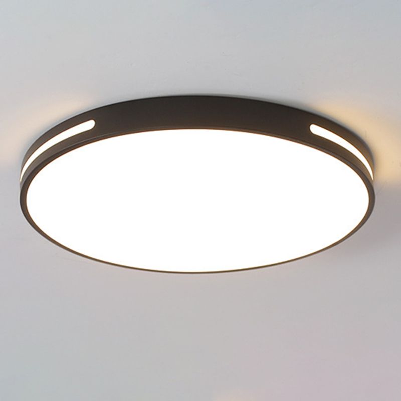 Lámpara de techo nórdica moderna y sencilla personalidad estudio de Sala de estar LED ultradelgado lámpara de ahorro de energía de caballo de hierro