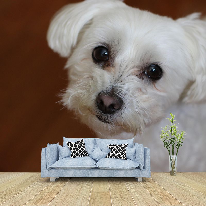 Horizontal Photography Bichon Frise Mural Stain Resistant Wall Art for Living Room