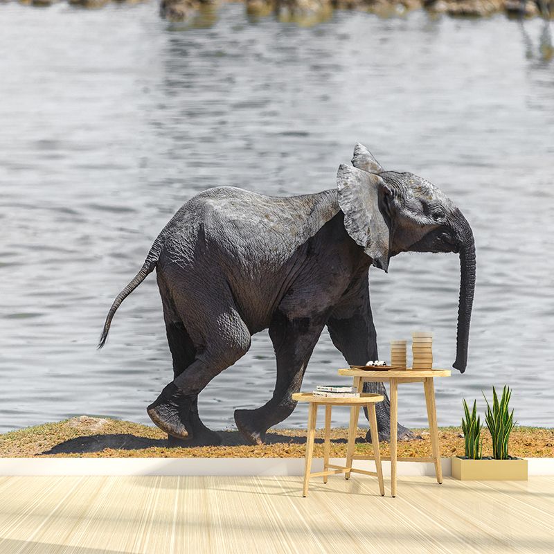 Photography Baby Elephant Mural Wall Decor Mildew Resistant Living Room Wall Mural Wall Art