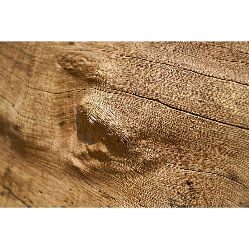 Vivid 3D Industrial Style Wood Texture Mural Mildew Resistant Wall Covering