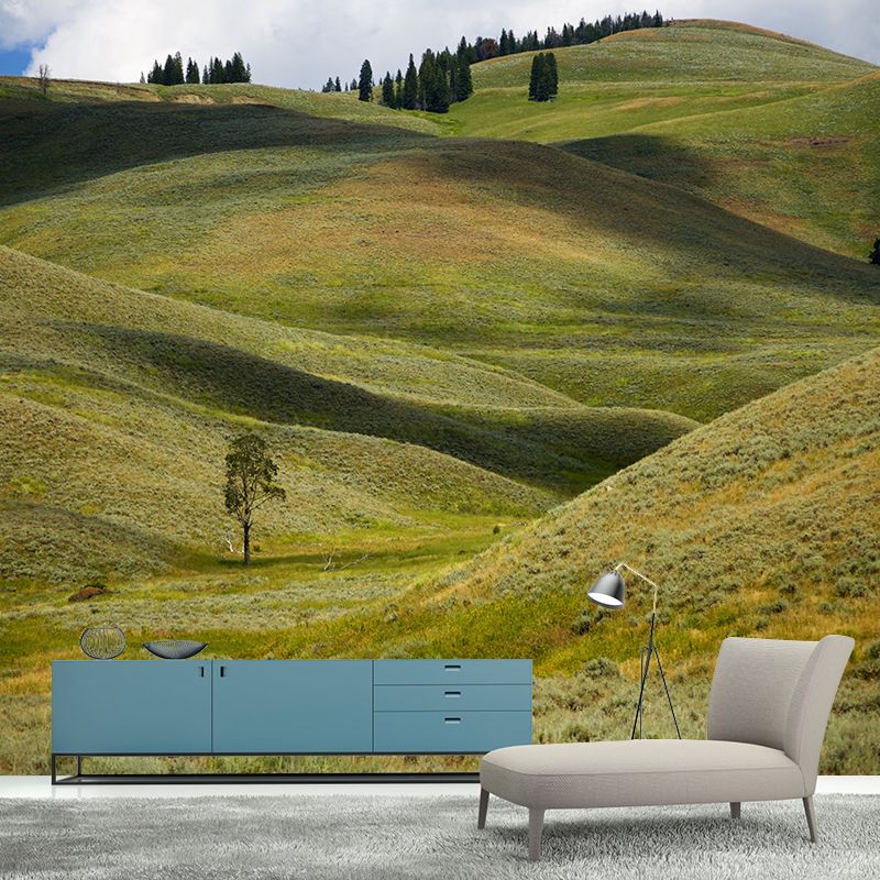 Photography Pattern Mildew Wall Mural Grassland for Living Room