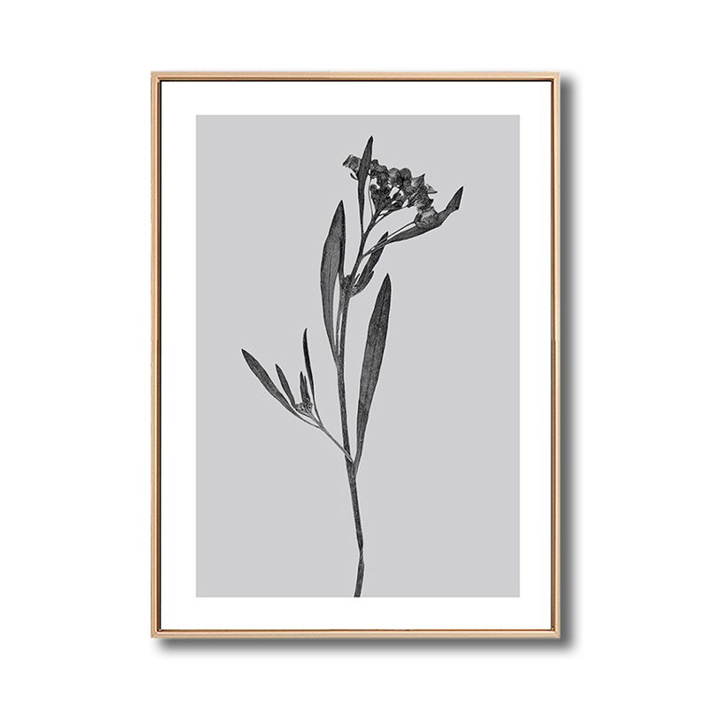 Grauer botanischer Leinwanddruck im Vintage-Stil mit strukturierter Wanddekoration für das Wohnzimmer