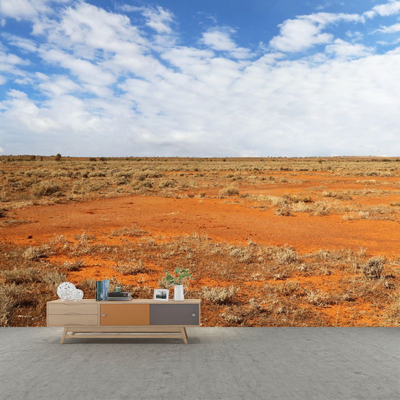 Customized Photography Desert Mural Environment Friendly for Living Room